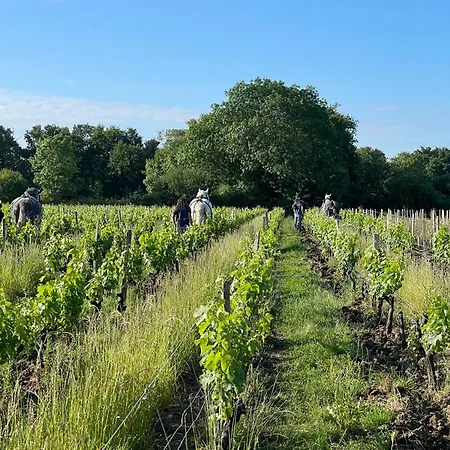 De La Providence Nyaraló *