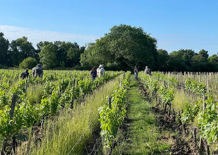 De La Providence Vakantiehuis *